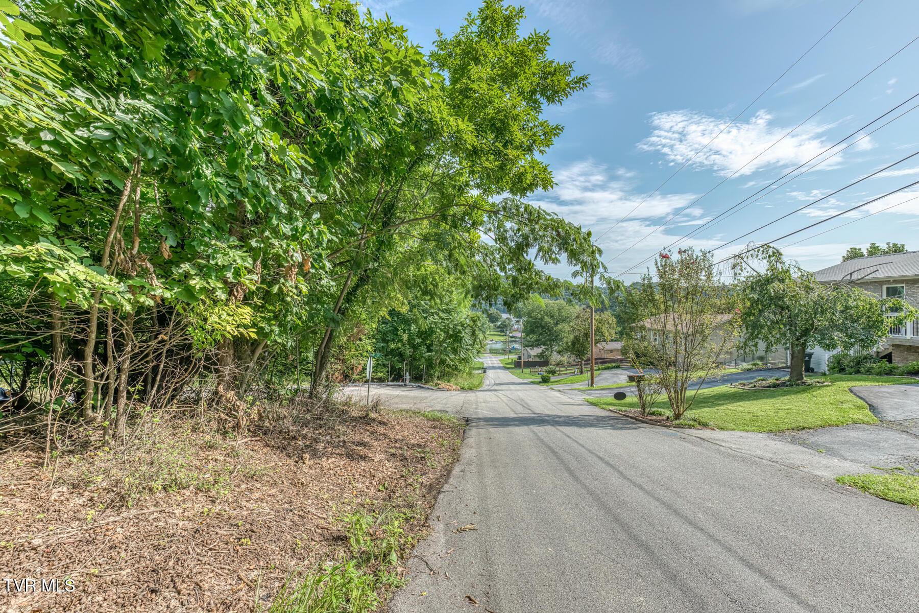 Image 3: TBD Angeline Dr-6