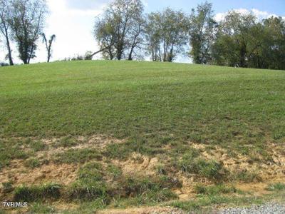 Lot 33 Vineyard Farms Parkway