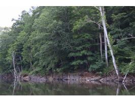 Lot 4 Riverview Ct Lot 4