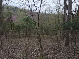 0 Gottland Shoals Road Lot 7