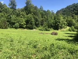 4964 Highway 321