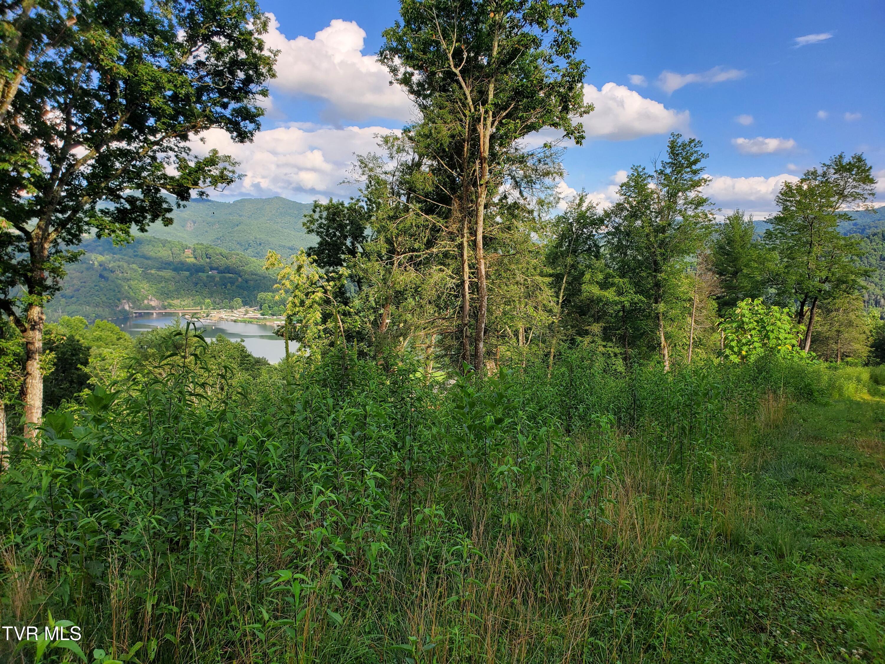 Image 3: 20250716_182137