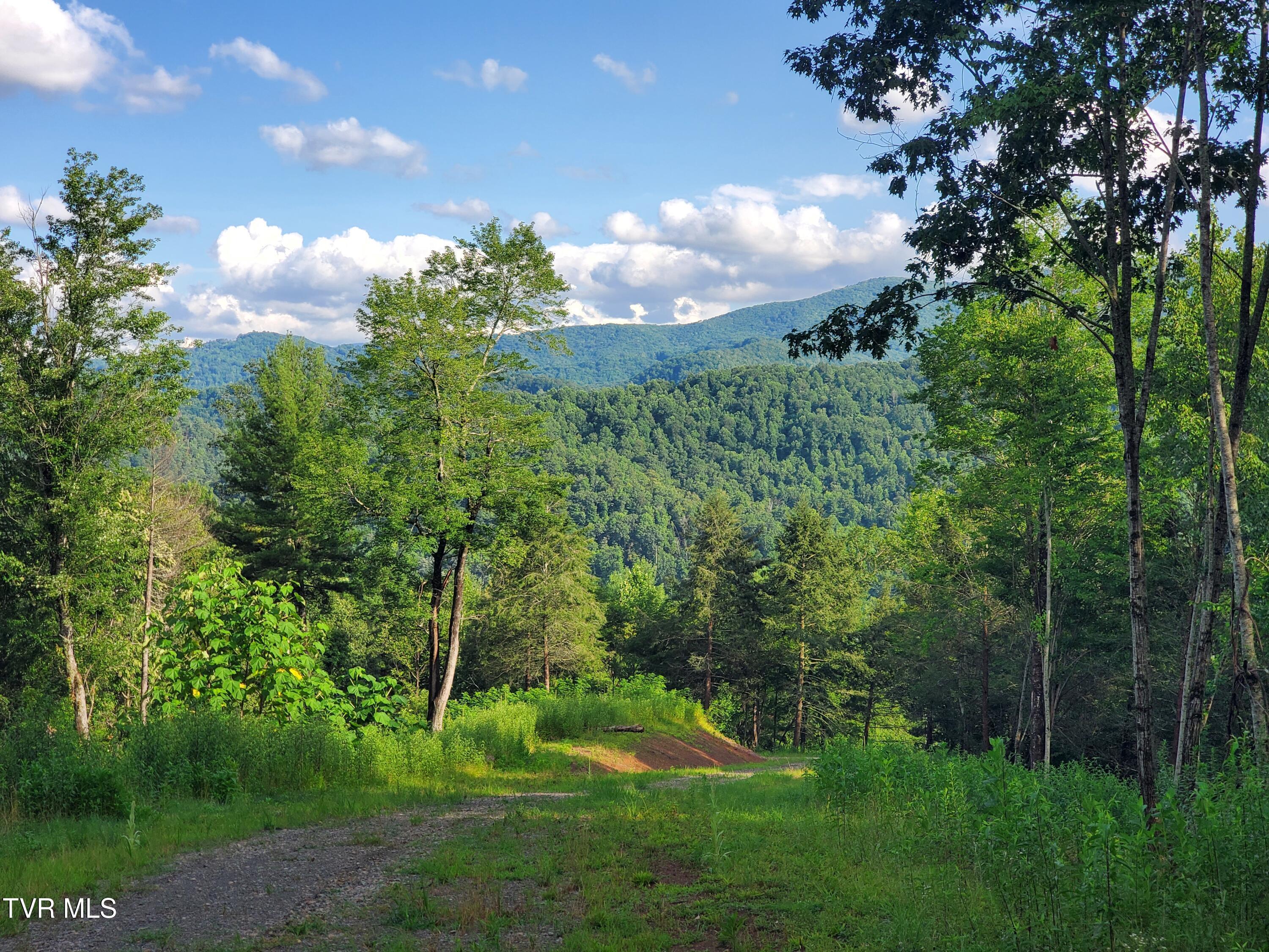 Image 4: 20250716_182307