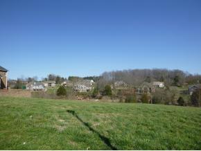 205 Forest Court