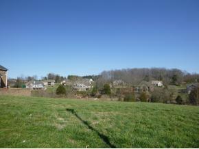 Image 1: Photo 1