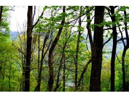 000 DIAMOND POINT DRIVE, LOT #13 Lot #13