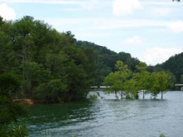 Tract 7 Hwy 421 S. Holston Lake area