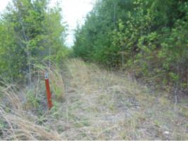 1214 Mays Ridge Road Lot 24