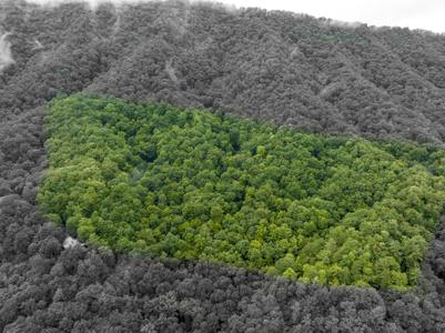 Lot 24 Bear Ridge Drive