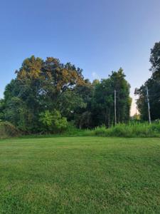 Lot 3 Center Drive