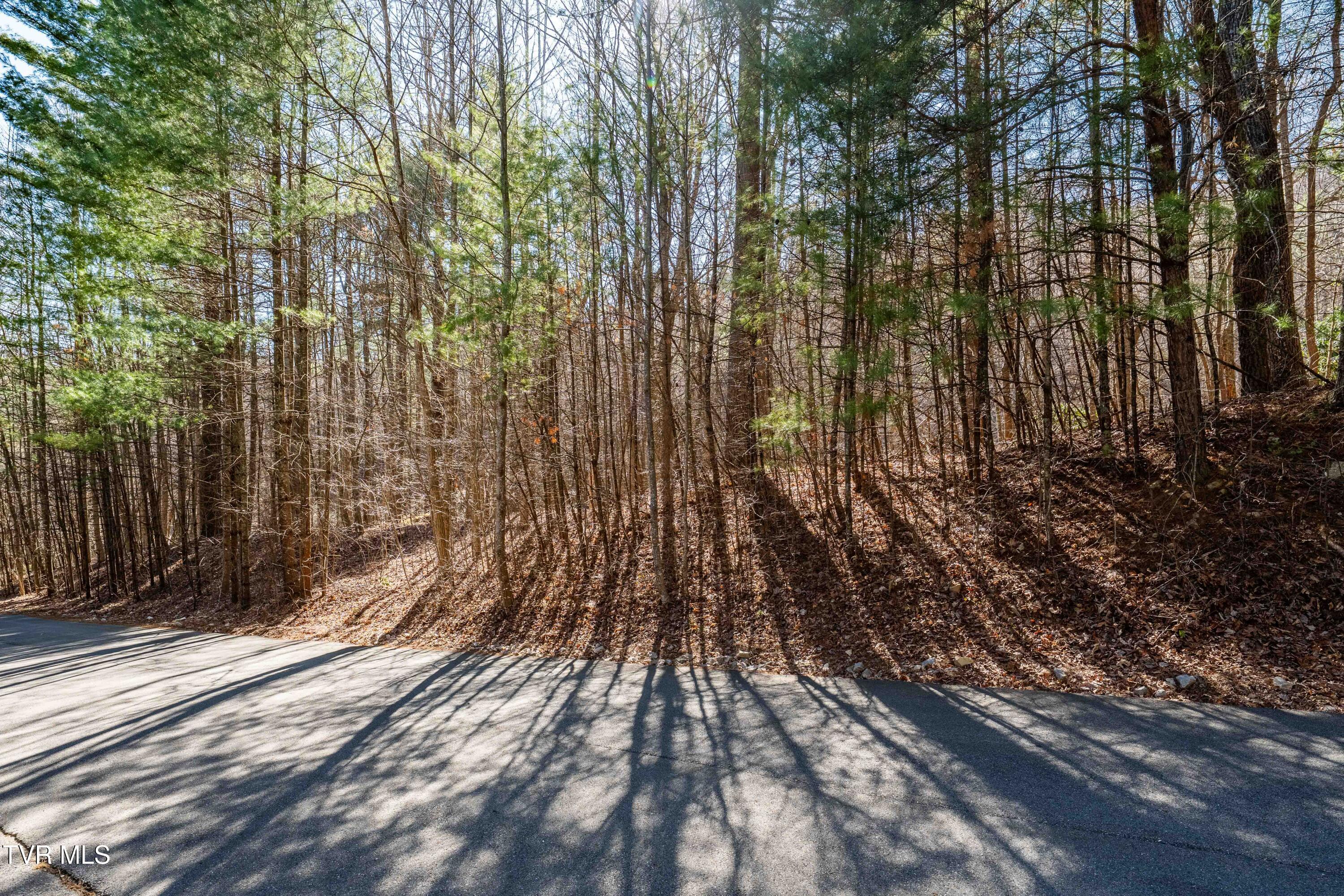 Image 3: Bear Ridge Estates Lot # 39 (15 of 32)