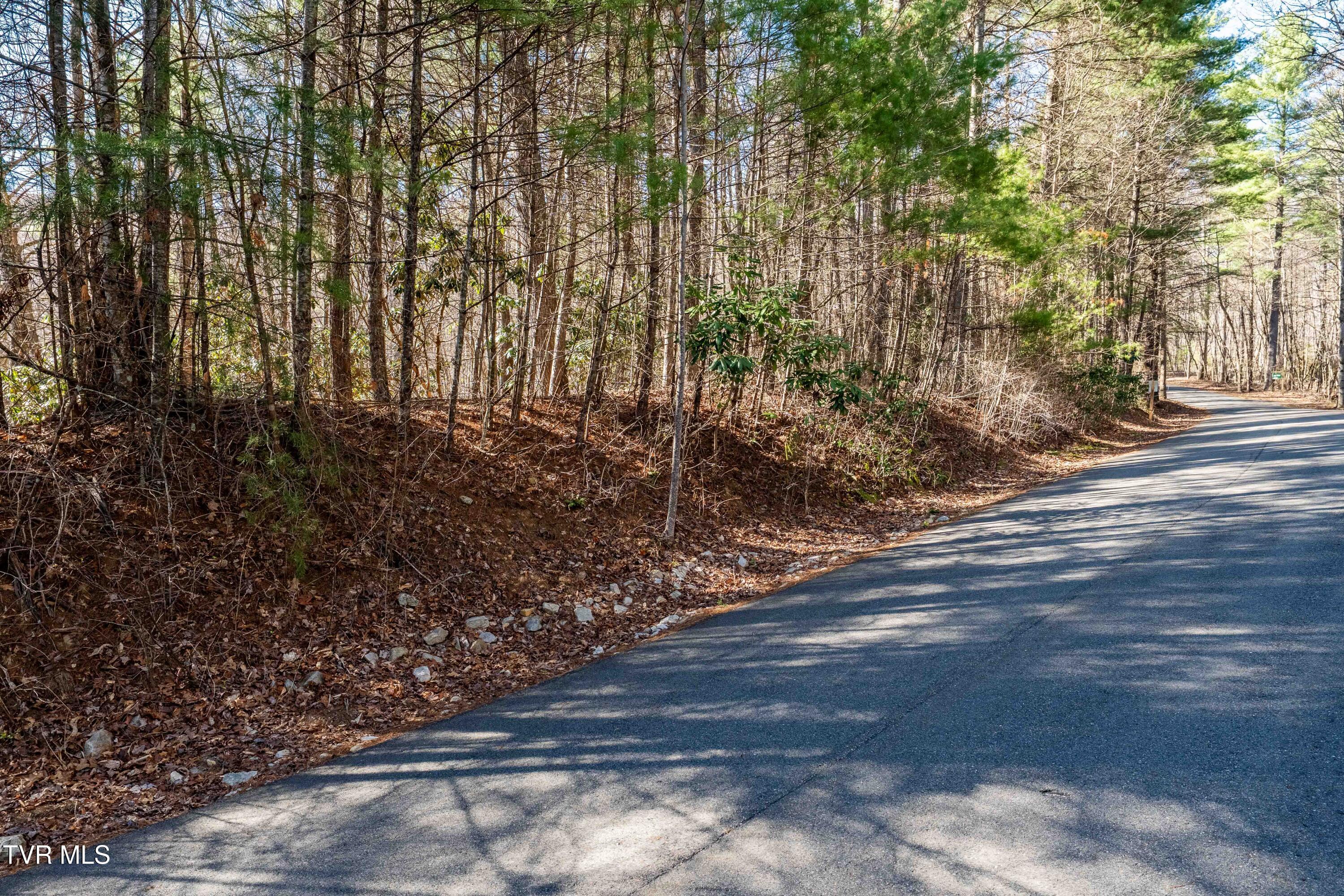 Image 4: Bear Ridge Estates Lot # 39 (16 of 32)