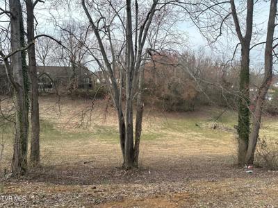 Tbd Ford Avenue