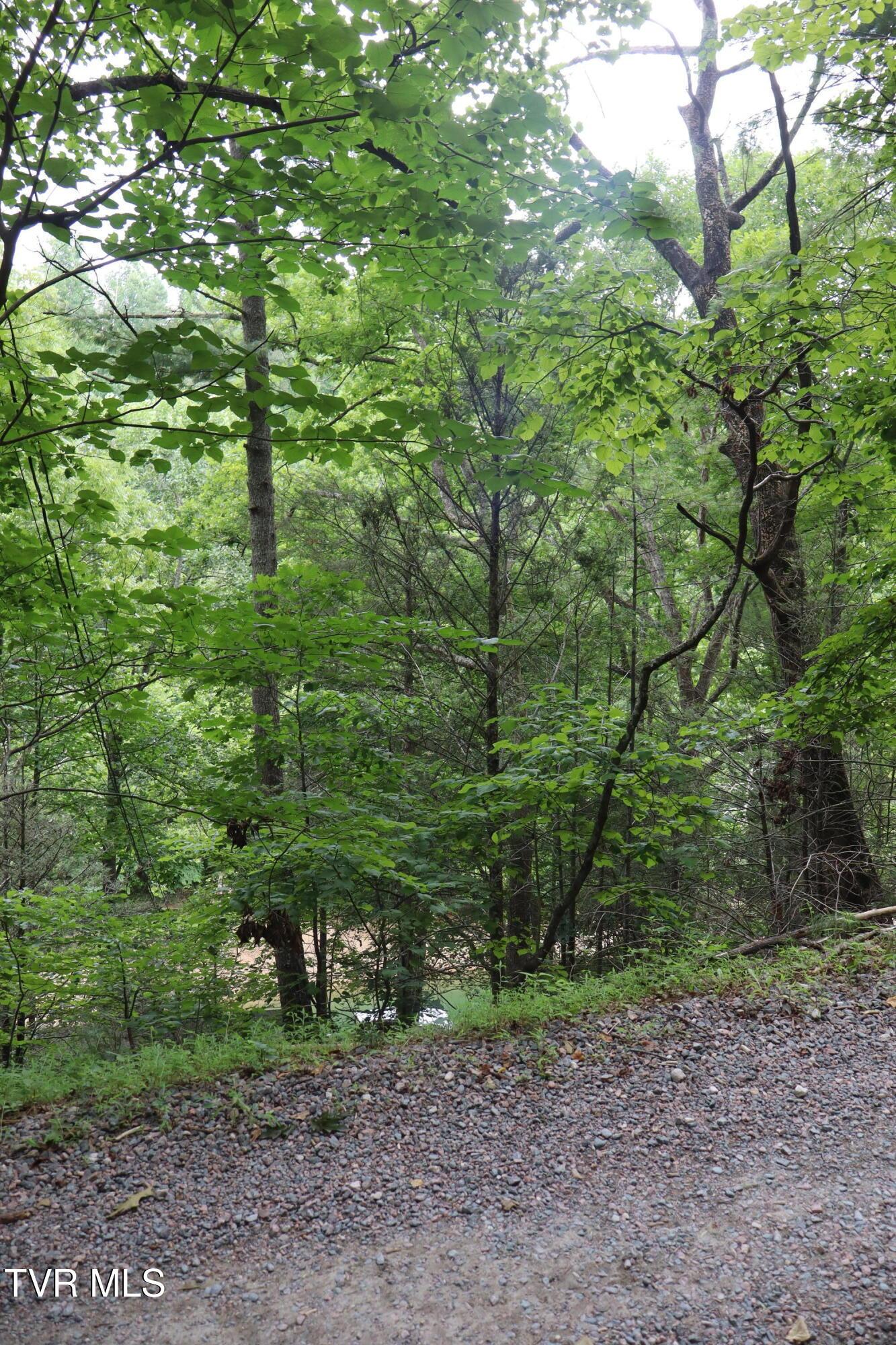 Image 4: IMG_2332
