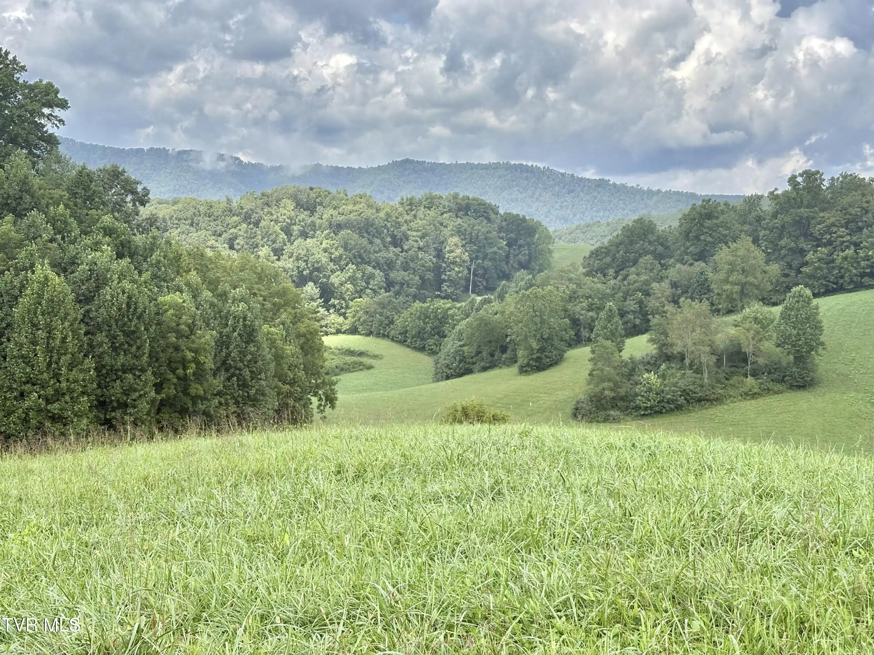 Image 1: IMG_4350