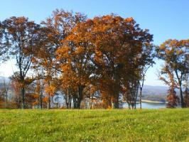 2269 Windswept Way Lot 102