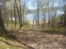 381 Chelaque Way Lot 100