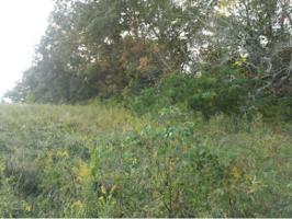 Lot 12 Redbird Lane Lot 12