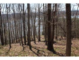 1012 Wilderness Dr Lot 3