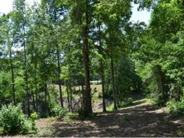 Lot 4 Lakeshore Dr