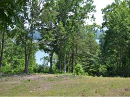 Lot 3 Lakeshore Dr