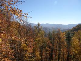 5340 Highway 321