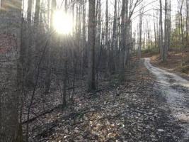 Tbd Banjo Ridge Rd