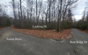 Tbd Black Bear Drive