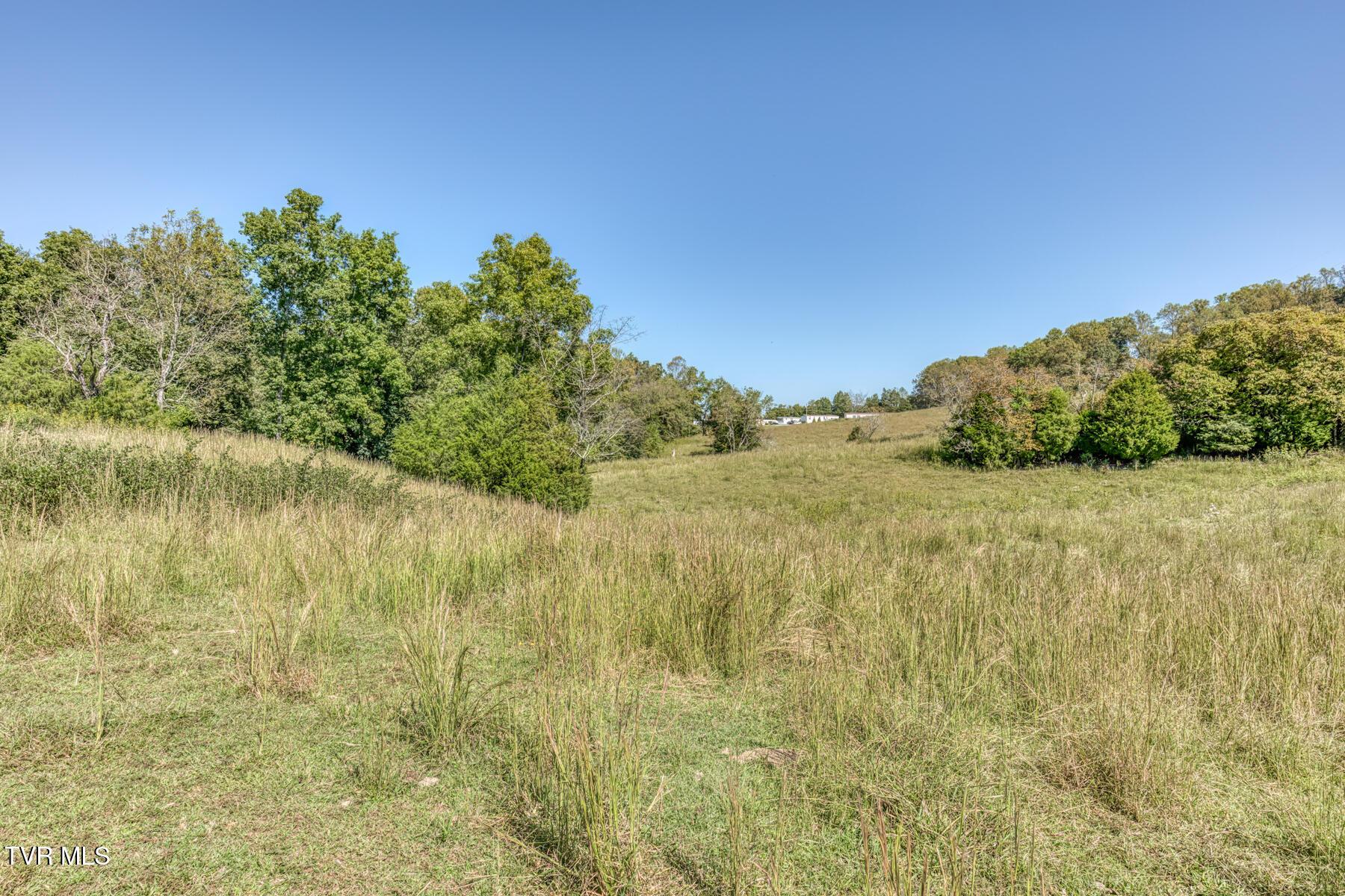 Image 3: TBD2 Yoakley Rd-3 - Copy