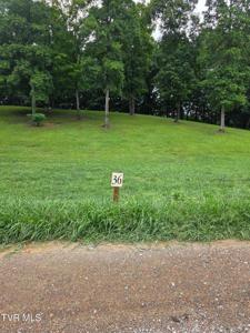 Lot 36 Summerfield Drive