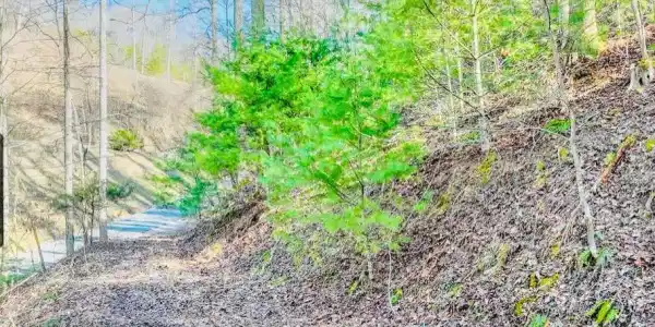 Lot 18 Horseshoe Cove Dr/Mistyhollow Drive