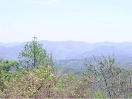 1012 Locust Lane Lot 40