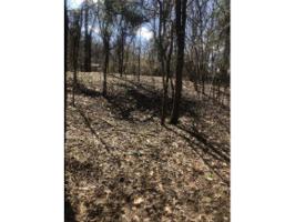 TBD Gottland Shoals Rd