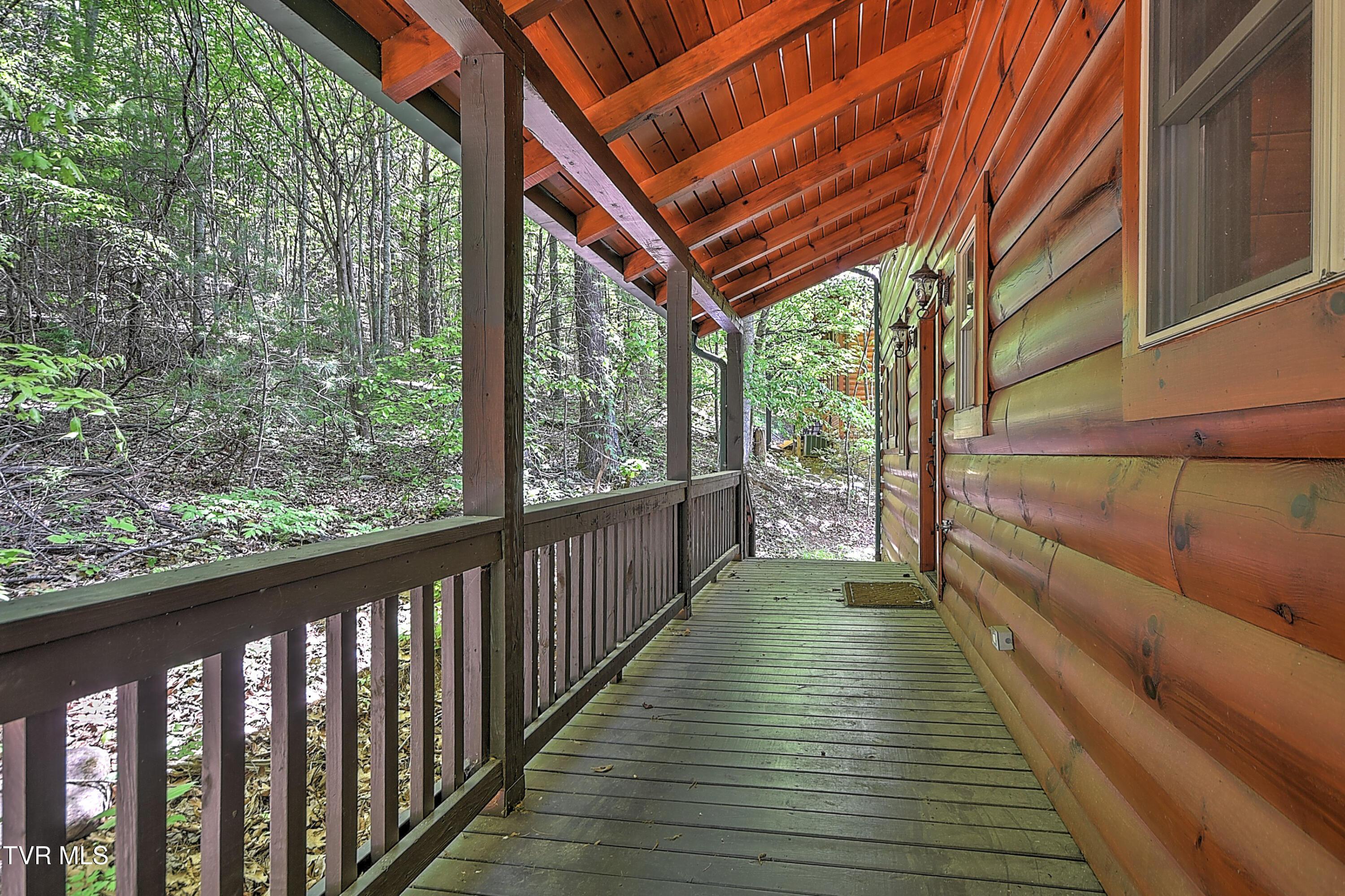 Image 4: 375 Cabin Lake DST-4