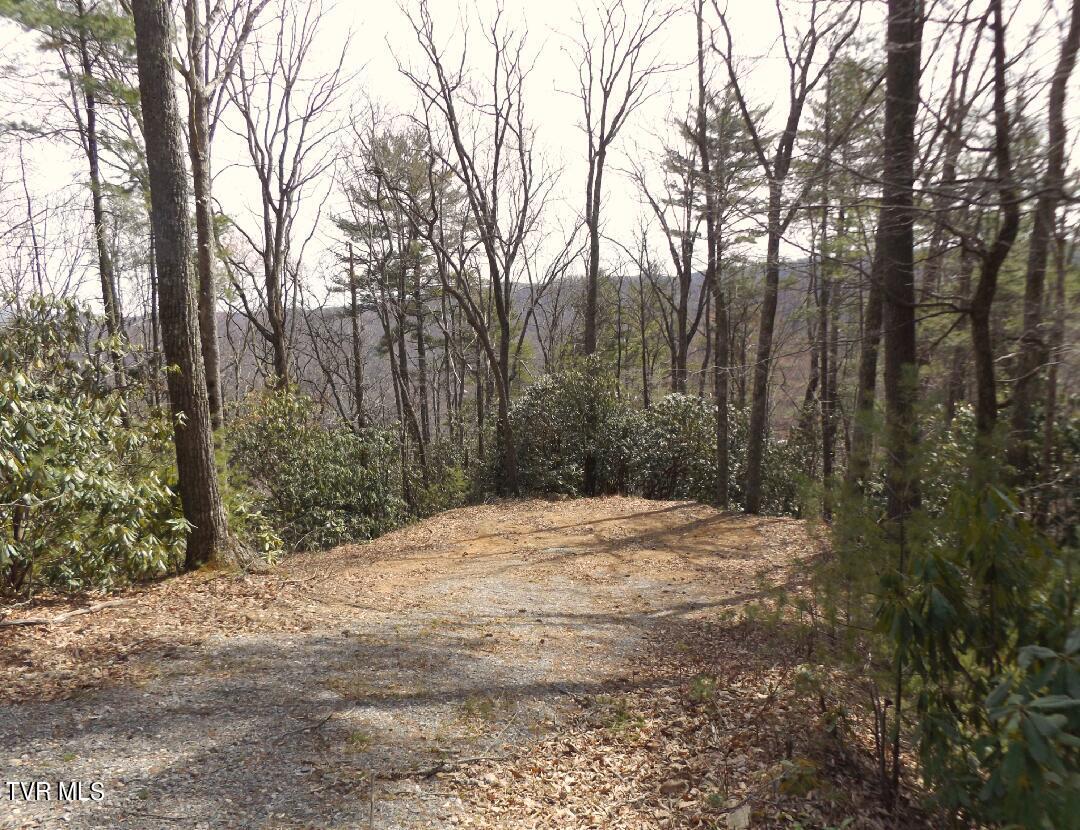 Image 1: Lot55a
