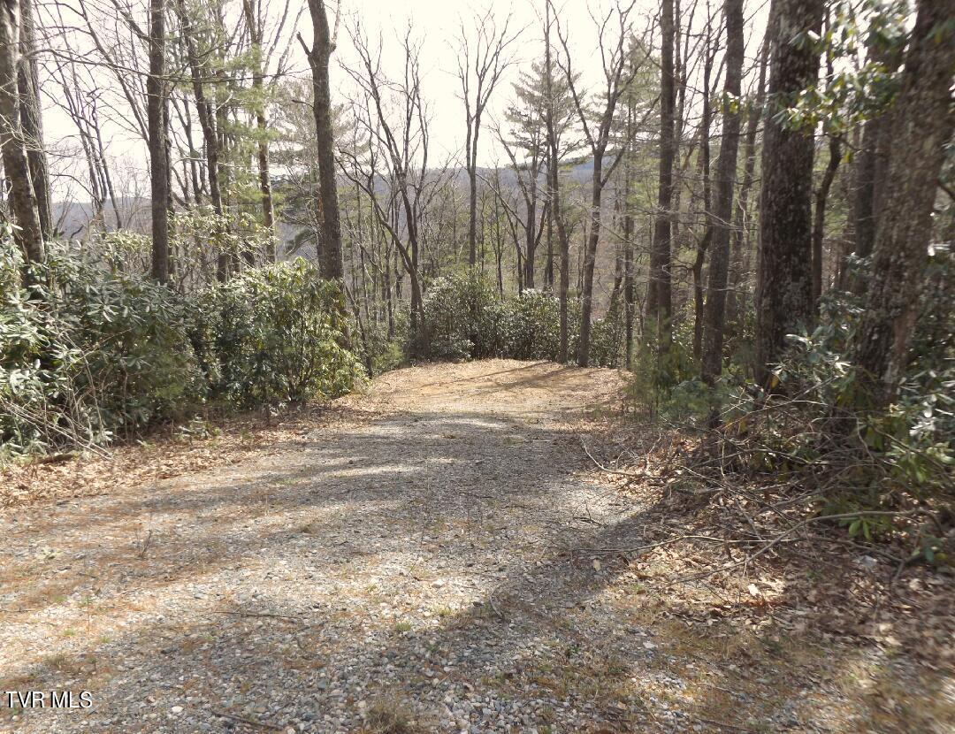 Image 2: Lot55b