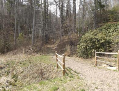 304 Honeymoon Lot 69 Hollow
