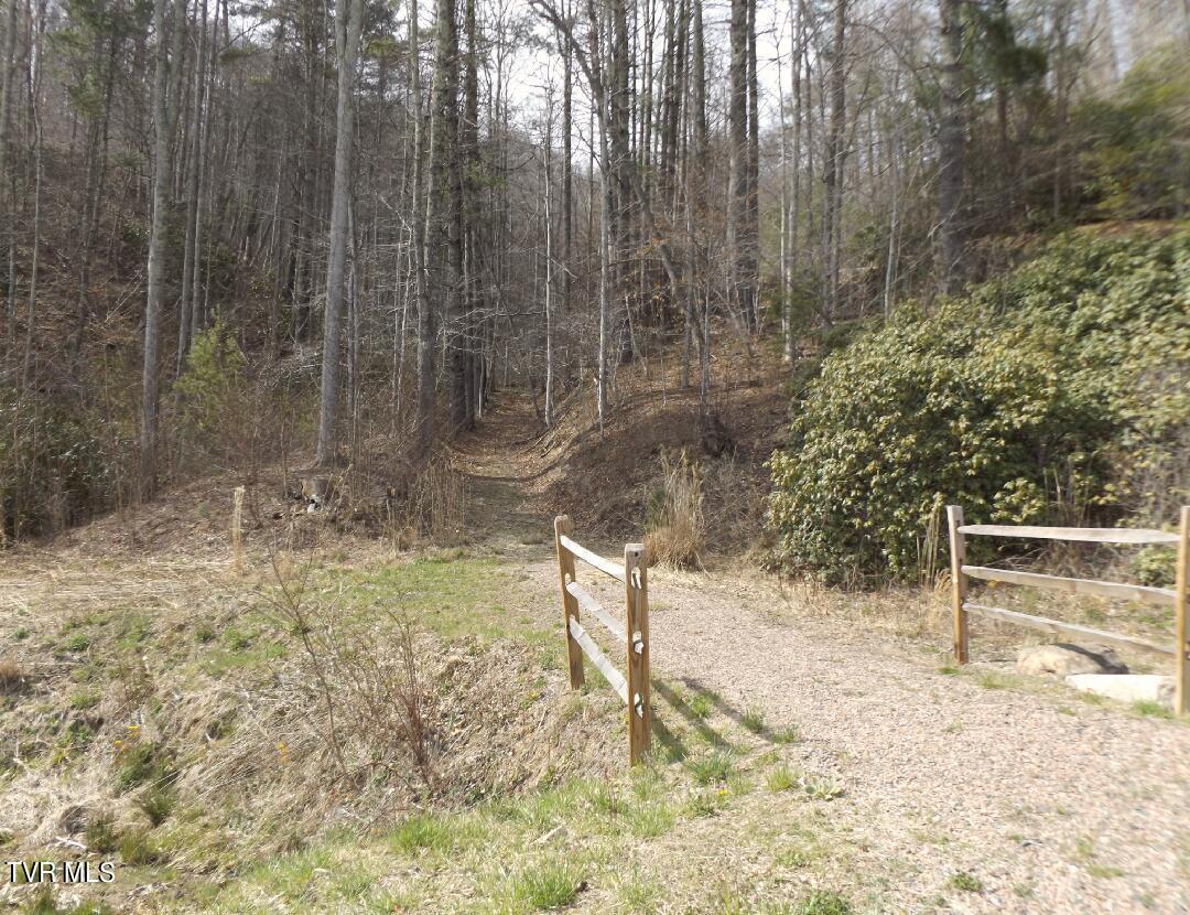 Image 1: Lot69a