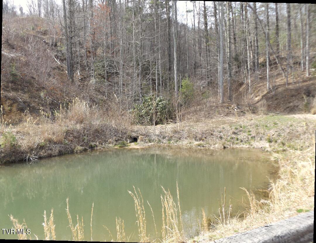 Image 3: Lot69b