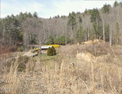 303 Honeymoon  Lot 59 Hollow