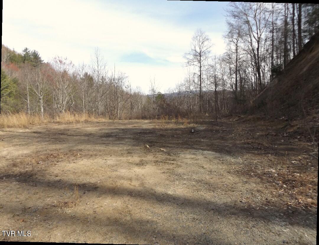 Image 2: Lot59A