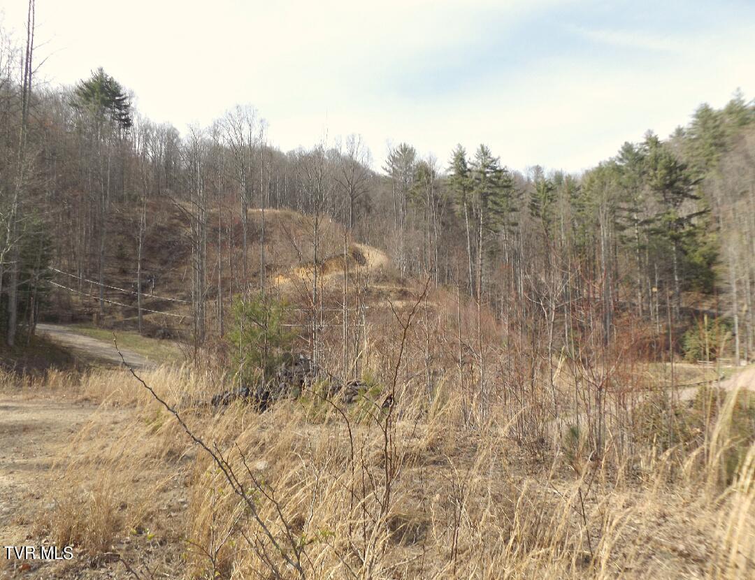 Image 3: Lot59d