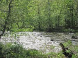 TBD Roan Creek Road