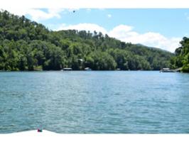 TBD Pine Point Circle Lot 20