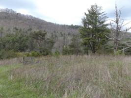 Tbd Sink Valley Road