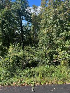 Tbd Skyland Drive