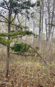 Lot 18 Aidans Trail