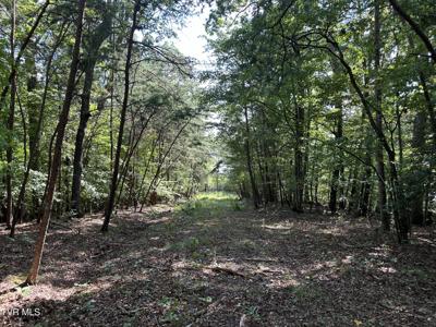 Lot 1239 Rustic Drive