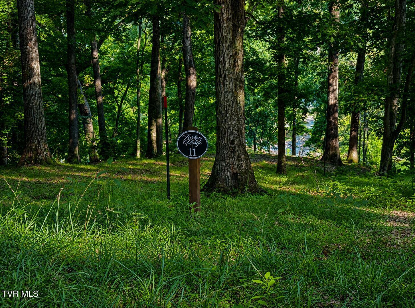 Image 1: lot 11 lakefront on Boone