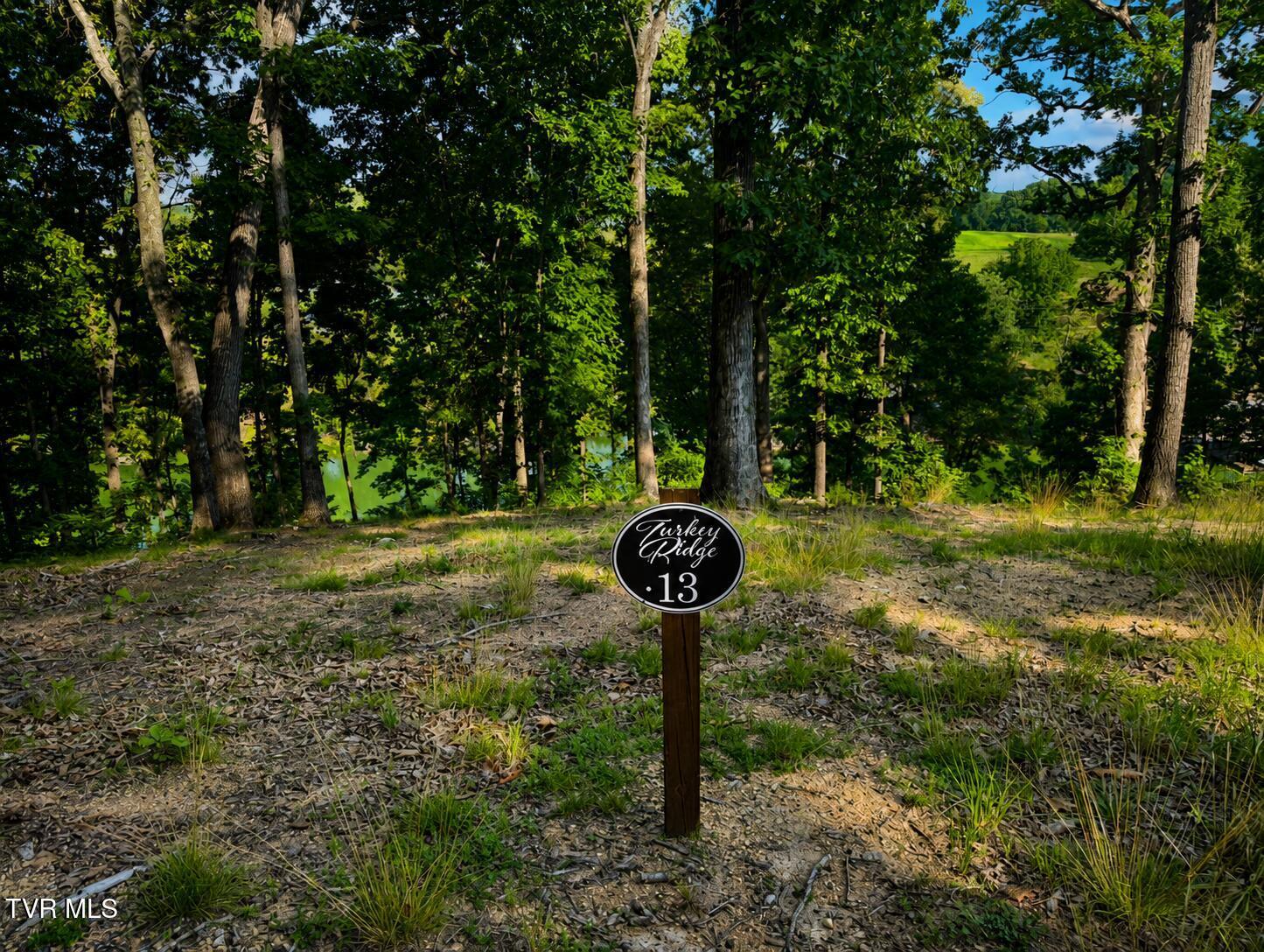 Image 2: lot 13 acreage